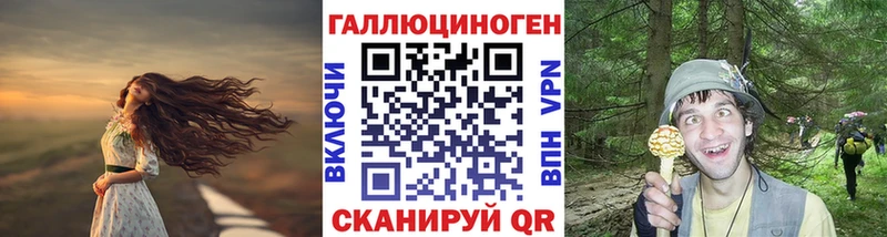 Галлюциногенные грибы Psilocybe  Купить закладки  Нарьян-Мар 