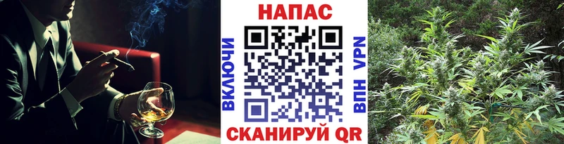 Бошки марихуана план  Купить закладки  Нарьян-Мар 